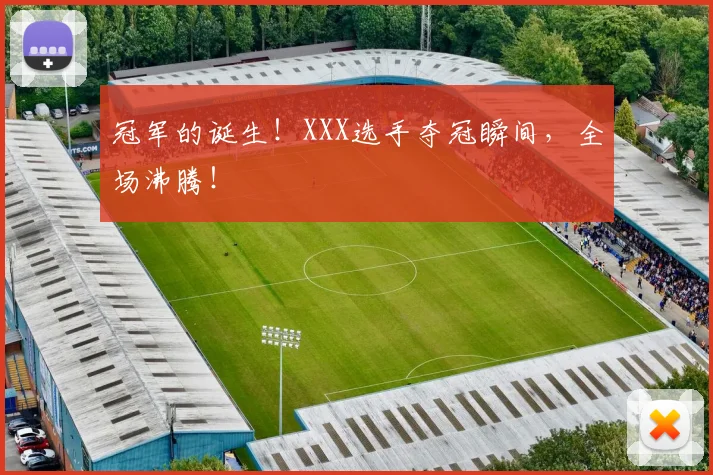 冠军的诞生！XXX选手夺冠瞬间，全场沸腾！