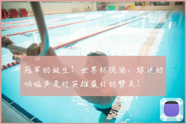 冠军的诞生！世界杯现场，球迷的呐喊声是对英雄最好的赞美！