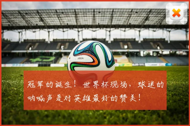 冠军的诞生！世界杯现场，球迷的呐喊声是对英雄最好的赞美！